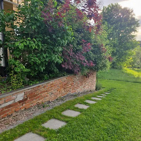 The Garden *