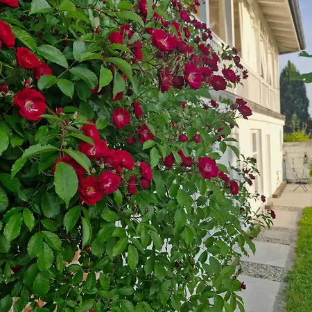 The Garden Sankt Ruprecht an der Raab