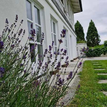 The Garden Apartman *